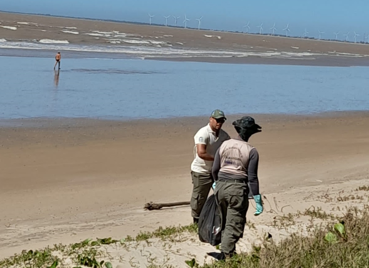 Mutirão pelo Dia Mundial de Limpeza de Praias Divulgação SEMA 2