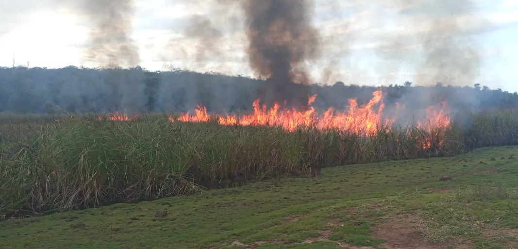 Prefeitura auxilia no combate à queimada na Estação Ecológica Estadual de Guaxindiba Divulgação 13