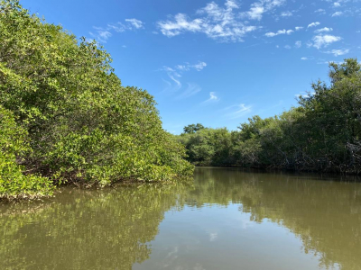 Visita técnica ao manguezal de Gargaú e palestra na Semana Municipal de Meio Ambiente