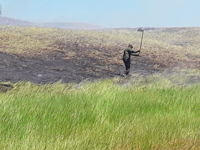 Queimada controlada em Guriri