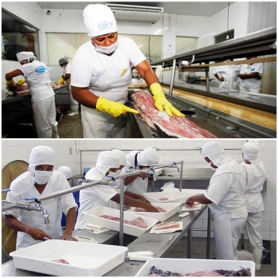 SFI irá ganhar duas unidades de beneficiamento de pescado através de parceria da Prefeitura com o Pescarte