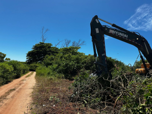 Controle e manejo de vegetação exótica na orla de Guaxindiba