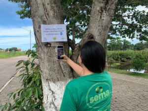 Árvores da Uenf: Sema apoia projeto sobre conhecimento da flora