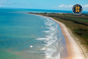 Meio ambiente em ação: engajamento coletivo e avanços que marcaram o ano