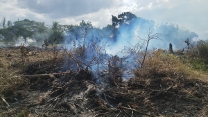 Guarda Ambiental controla três queimadas no final de semana
