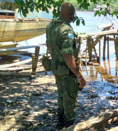 Ação da Sema apreende em Barra madeira cortada de mangue