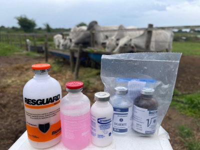 Ação inédita no município: Prefeitura doa 4 tipos de vacinas aos pequenos produtores para garantir imunização do gado