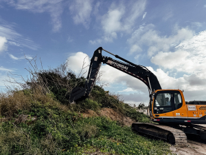 Praia de Manguinhos recebe retirada de vegetação exótica