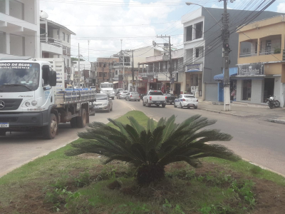 Plantio de flores contribui com o paisagismo na área central