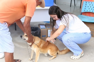 Terceira etapa do Mutirão de Vacinação Antirrábica é realizada neste sábado (15)