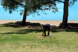 Sema retira mudas plantadas irregularmente em Área de Preservação Permanente