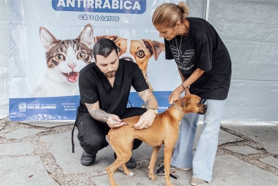 Mutirão de Vacinação Antirrábica é encerrado com ações em quatro localidades