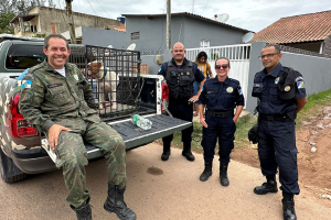 Guarda Municipal e Guarda Ambiental realizaram o resgate de um cachorro da raça Pitbull em área alagada