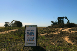 Trabalho de retirada de vegetação exótica segue na Praia de Santa Clara