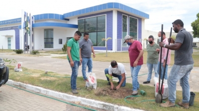 Prefeitura realiza plantio de mudas em frente à Câmara