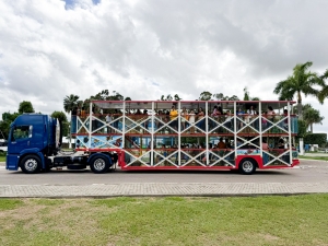 Passeio de trenzinho promove inclusão para assistidos pelo Centro de Terapias Especiais