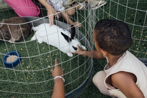 &quot;Rancho Terapia&quot;: uma experiência sensorial para crianças com TEA
