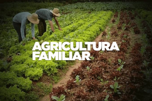 Chamada Pública para Agricultura Familiar no próximo dia 14 de abril