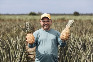 Prefeitura distribuirá mudas de abacaxi na próxima segunda (30/03)