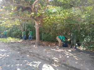 Semana Municipal do Meio Ambiente termina com limpeza de margens de rio e manguezal