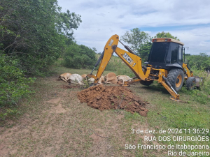 Raio cai e mata 10 bovinos em propriedade rural de Volta Redonda