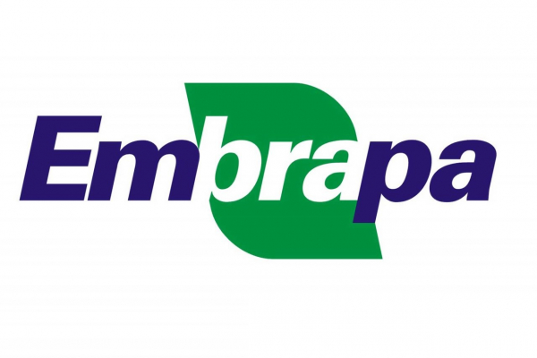 SFI receberá técnicos da Embrapa em setembro