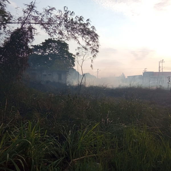 Ação da Defesa Civil e Guarda Ambiental combate fogo na área central