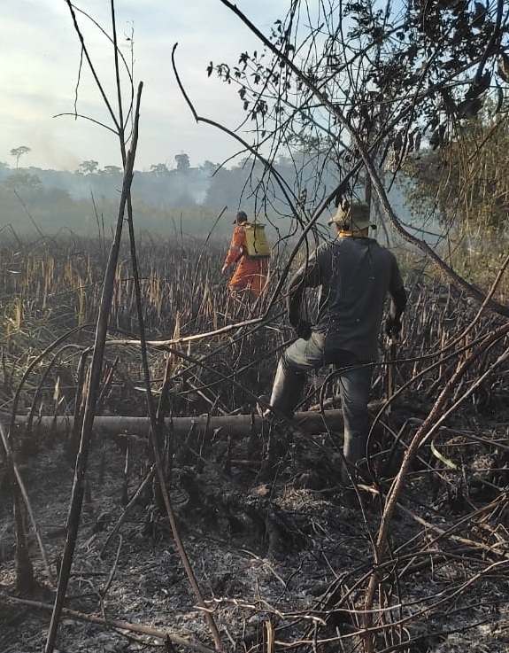 Prefeitura auxilia no combate à queimada na Estação Ecológica Estadual de Guaxindiba Divulgação 3