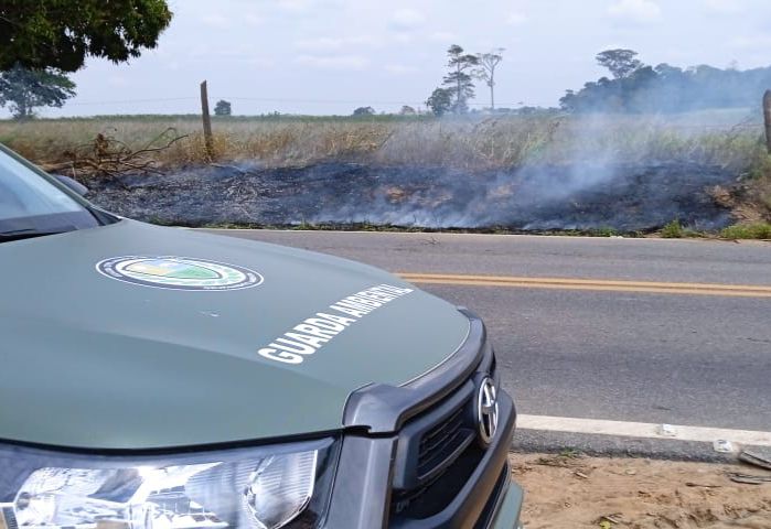 Guarda Ambiental resgata animais e controla queimadas Divulgação GAM 4