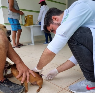 Dia D de vacinação antirrábica para cães e gatos em 2022 1
