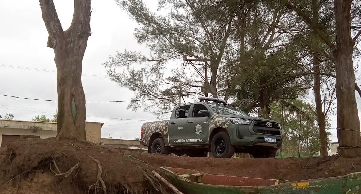Guarda Ambiental resgata capivara e dois filhotes de gambá 1