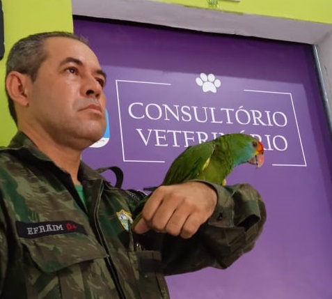 Quatro animais resgatados GAM 5