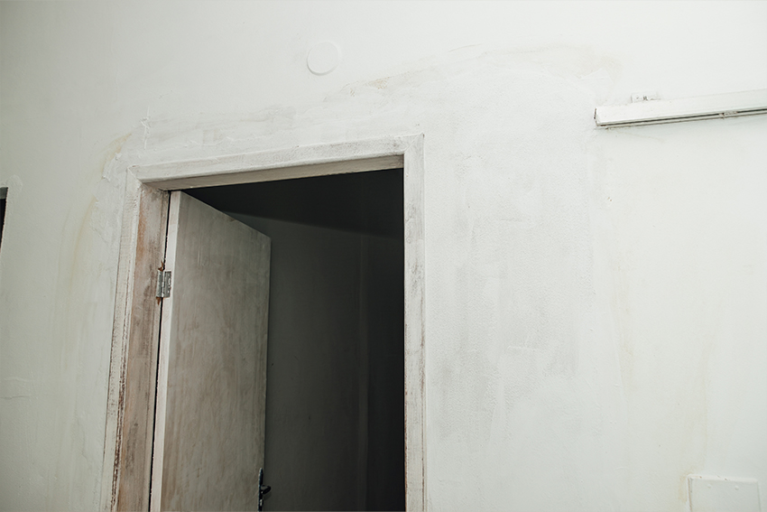 3J5A6652