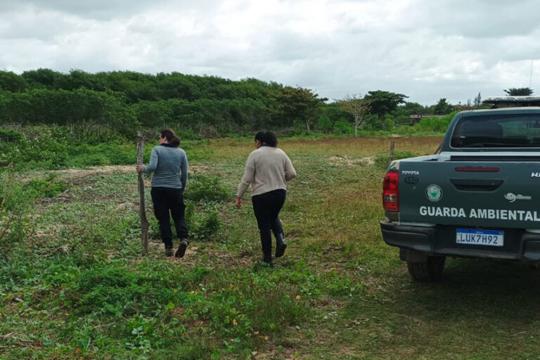 Secretaria de Meio Ambiente retira mourões de área de mangue