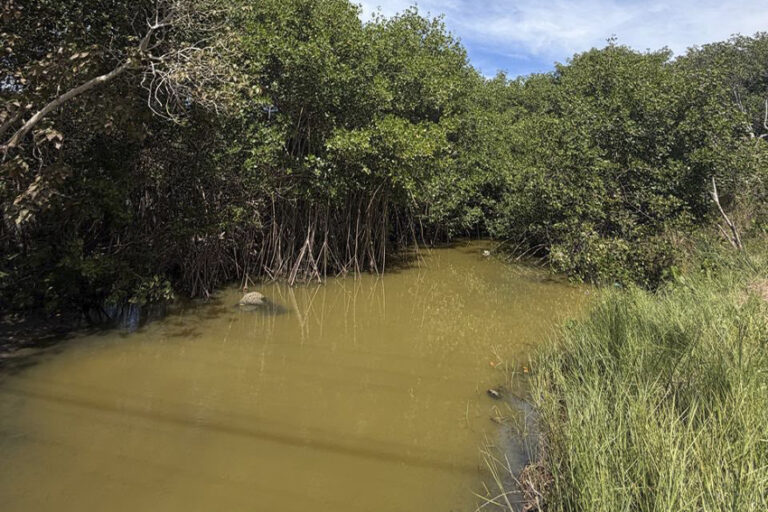 Sema instala placas em Barra do Itabapoana para alertar sobre desmatamento de mangue