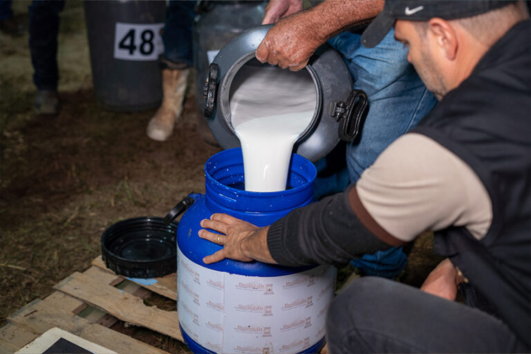 Concurso Leiteiro chega à terceira ordenha na 41ª ExpoAgro