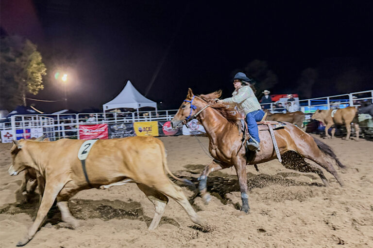 Ranch Sorting: Inscrições terminam nesta quarta (16/09)
