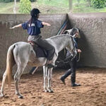 Profissionais da SMECT participam de curso de Equoterapia em Teresópolis